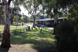 stradbroke
